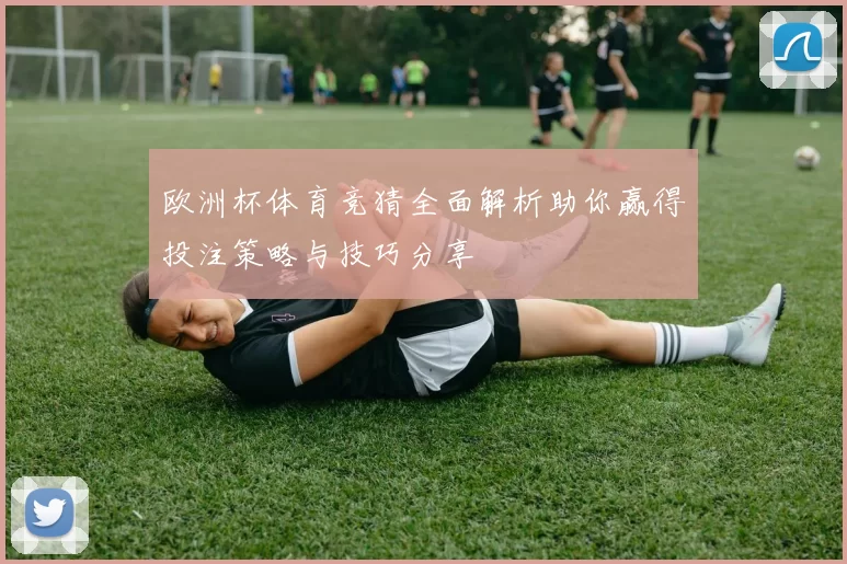 欧洲杯体育竞猜全面解析助你赢得投注策略与技巧分享